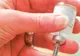 267 de cazuri de gripă porcină în Capitală, 15 unităţi şcolare sunt închise total sau parţial