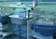 La o clinică de ginecologie din Timişoara, o singură asistentă are grijă de 20 de copii 