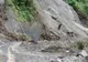 Şcoala din comuna gorjeană Roşia de Amaradia este în pericol în urma unei alunecări de teren