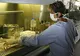 OMS le cere medicilor să administreze rapid antivirale pacienţilor din grupele de risc