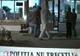 Angajata unei case de pariuri din Constanţa a reclamat un jaf ca să justifice o lipsă din încasări