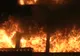 Un incendiu a izbucnit la sediul Apelor Române din Mehedinţi