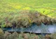 Topirea permafrostului ameninţă industria gazo-petrolieră rusă, avertizează Greenpeace 