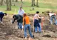 MaiMultVerde şi Ernst & Young au împădurit 10 hectare la Ploieşti