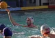 Polo:  Dinamo a câştigat derby-ul cu Steaua 