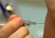 Se anchetează o posibilă transmitere interumană a unei tulpini rezistente la Tamiflu de A(H1N1)