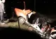 Patru morţi în urma unui accident tragic în Timiş. VEZI FOTO