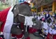 În Thailanda, Moş Crăciun este elefant!
