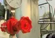 Rusia ameninţă că taie gazul care tranzitează Ucraina spre Europa 