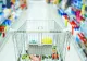 Aglomeraţie mare în magazinele bistriţene, în Ajunul Crăciunului
