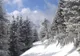 Noaptea de duminică spre luni a fost cea mai geroasă, din ultimii cinci ani, în Bacău   