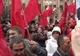Susţinătorii PSD şi PD-L s-au înjurat şi s-au bătut în centrul Timişoarei. VEZI VIDEO