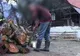 Un băiat de 15 ani din Hunedoara a renunţat la şcoală pentru a-şi ajuta părinţii în gospodărie