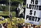 Fanii lui Lazio, la fel ca cei ai Stelei! 5.000 de suporteri l-au contestat pe preşedintele Lotito