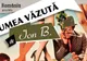 \"Lumea văzută de Ion B.\", povestea singurului reprezentant autentic al pop art-ului mioritic
