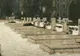Revoluţia în oraşul tău Braşov: Nicolae Samson spune că nu a fost chemat de nimeni să iasă în stradă