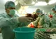 Românii mor cu zile pe listele de aşteptare : Doar 44 de donatori de organe în 2009