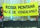 Protest în Parlament: \"Roşia Montană nu e de VI[N]DEANU\" 