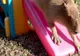 VIDEO AMUZANT. Îngrijitorii de la ZOO se chinuie să prindă un şoarece imens care are 45 de kg
