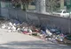 Capitala, la un pas să fie invadată de șobolani și insecte - Motivul incredibil pentru care nu a început încă deratizarea și dezinfecția