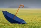 Vremea va fi instabilă! PROGNOZA METEO PE TREI ZILE 