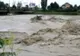 Efectele furtunii: Copaci căzuţi pe carosabil, mai multe beciuri şi curţi au fost inundate, în Prahova