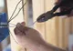 Electrician concediat pentru „consumul excesiv și repetat” de alcool, reangajat de instanță! Motivarea deciziei este halucinantă