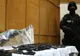 PSD aruncă pe piață o nouă bombă: dezincriminarea deținerii fără drept de muniție letală
