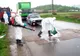26 de focare de gripă aviară active în Teleorman. Aproximativ 500 de păsări au fost ucise