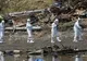 Particule RADIOACTIVE suspecte deasupra Europei. Se suspectează un test nuclear