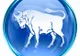 Taur
