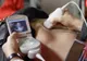 HALUCINANT. Medicul i-a furat copilul. "Mi-a spus că am avut o sarcină imaginară"