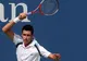 Tenis: Hănescu și Ungur au fost învinși în finala de dublu la Alphen