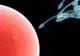 Ce-i face pe spermatozoizi să înoate? Descoperire epocală pentru combaterea infertilității masculine