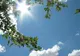 Vremea va fi tot mai caldă! PROGNOZA METEO pe TREI ZILE 
