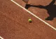 Australianul Bernard Tomic a primit un wildcard pentru turneul BRD Năstase Țiriac Trophy 