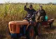 Fermierii din România primesc despăgubiri pentru pagubele produse de secetă. Ce trebuie să facă