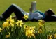 PROGNOZA METEO pentru trei zile: WEEKEND cu VREME frumoasă şi TEMPERATURI peste cele normale