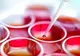 Fresh Refresh. Efectele miraculoase ale celulelor stem 