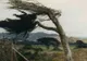 Atenționare meteo de ultimă oră: Cod galben de vânt puternic. Județele afectate