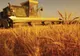 Exporturile de cereale din Ucraina, în stand by: porturile din Marea Neagră, în continuare, cea mai bună opțiune. Ce AȘTEPTĂRI are Kievul