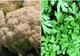 Leguma anti-cancer pe care, cel mai probail, o ai în cămara ta