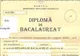 BAC 2014. Promovații primesc adeverințe, nu diplome, din cauza anchetei DNA 