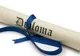 Senat. Diplomele obţinute înainte de 2011 la facultăţi neacreditate nu vor fi recunoscute de stat 