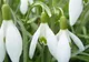PROGNOZA METEO: VREMEA se RĂCEŞTE uşor, temperaturile rămân de primăvară. VREMEA pe 3 zile