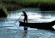Undă verde pentru paradisuri fiscale în Delta Dunării.