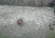 Vreme destul de urâtă! Meteo pe 2 iulie 