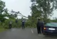 Ce probleme sunt în trafic, luni dimineața. Un TIR a derapat, un copac a căzut pe un drum național