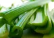 Leguma care ucide celulele canceroase. Trebuie să fi inclusă în alimentaţia de zi cu zi