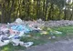 Acțiune de ecologizare a pădurii Băneasa 